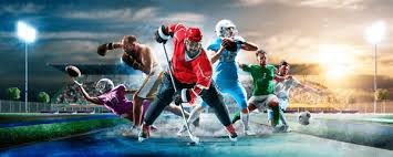 详解棒球规则中的观众干扰判罚当球迷在界外区直接抢夺活球