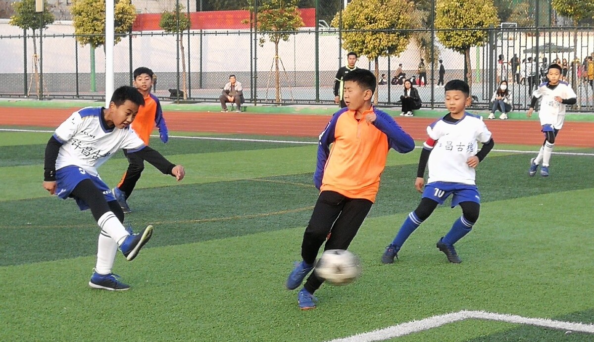 10届的新 10届的新